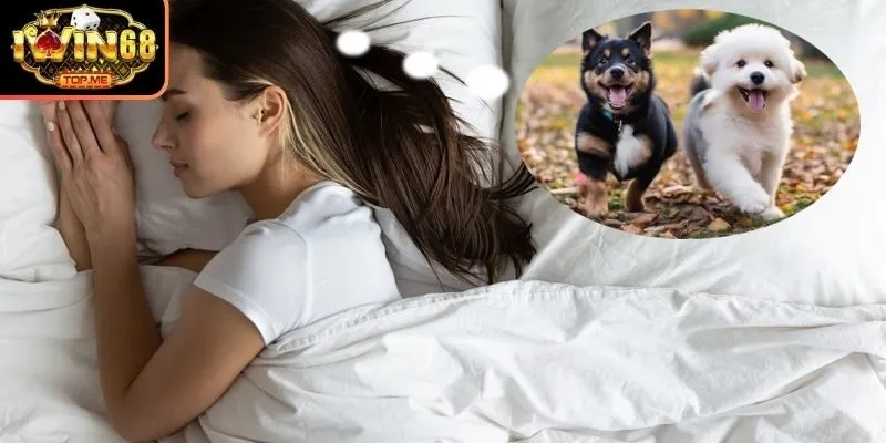 Chiếm bao cún quấn lấy người
