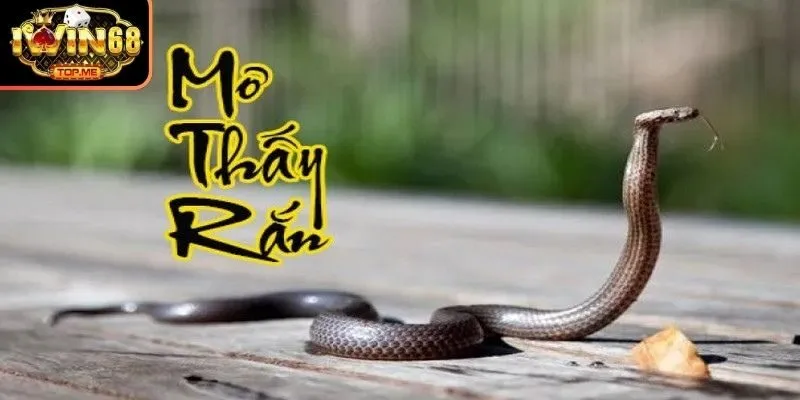 Lý giải cặn kẽ từng giấc chiêm bao về rắn