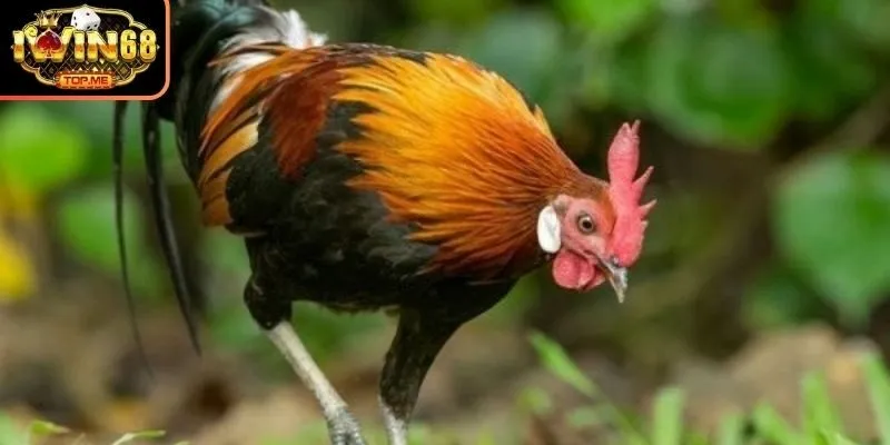 Kiên định vượt qua thách thức hoàn thiện bản thân